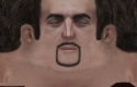 New Niko Bellic